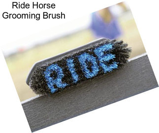Ride Horse Grooming Brush