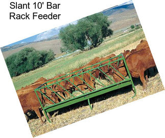 Slant 10\' Bar Rack Feeder