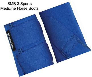 SMB 3 Sports Medicine Horse Boots