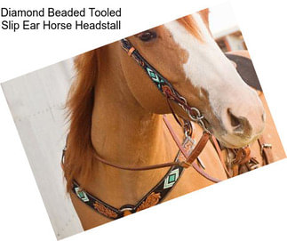 Diamond Beaded Tooled Slip Ear Horse Headstall
