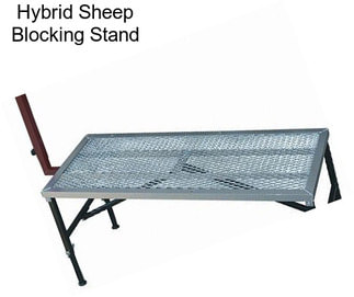 Hybrid Sheep Blocking Stand