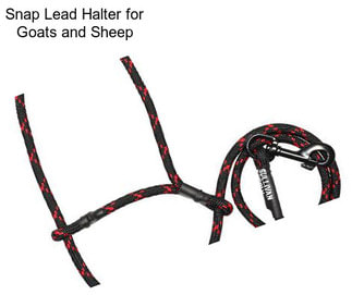 Snap Lead Halter for Goats and Sheep