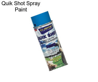 Quik Shot Spray Paint