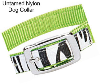 Untamed Nylon Dog Collar