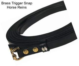 Brass Trigger Snap Horse Reins