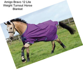 Amigo Bravo 12 Lite Weight Turnout Horse Blanket