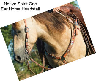 Native Spirit One Ear Horse Headstall