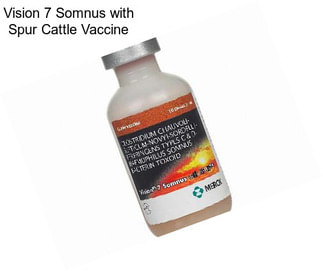 Vision 7 Somnus with Spur Cattle Vaccine