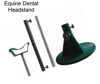 Equine Dental Headstand