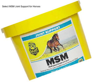 Select MSM Joint Support for Horses