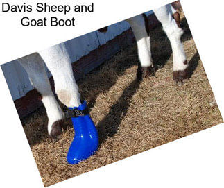 Davis Sheep and Goat Boot