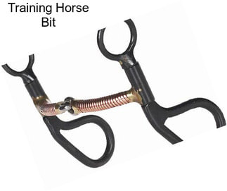Training Horse Bit