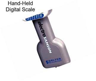 Hand-Held Digital Scale