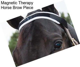 Magnetic Therapy Horse Brow Piece