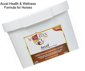 Accel Health & Wellness Formula for Horses