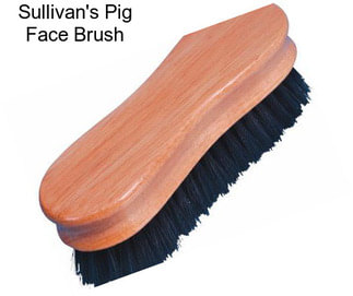 Sullivan\'s Pig Face Brush