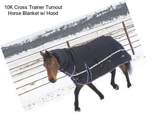 10K Cross Trainer Turnout Horse Blanket w/ Hood