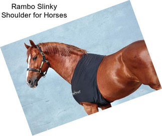 Rambo Slinky Shoulder for Horses