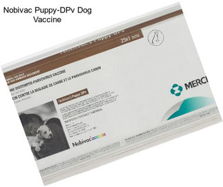 Nobivac Puppy-DPv Dog Vaccine