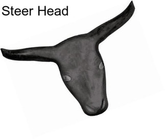 Steer Head