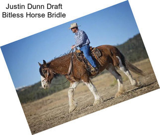 Justin Dunn Draft Bitless Horse Bridle
