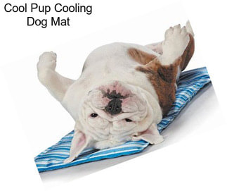 Cool Pup Cooling Dog Mat