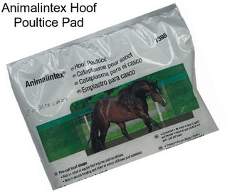 Animalintex Hoof Poultice Pad