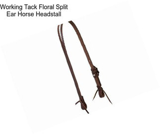 Working Tack Floral Split Ear Horse Headstall