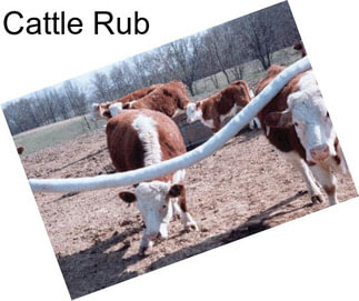 Cattle Rub