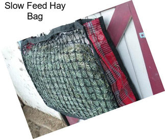 Slow Feed Hay Bag