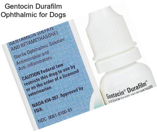 Gentocin Durafilm Ophthalmic for Dogs