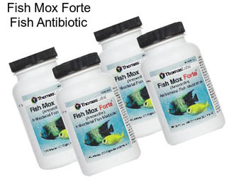 Fish Mox Forte Fish Antibiotic