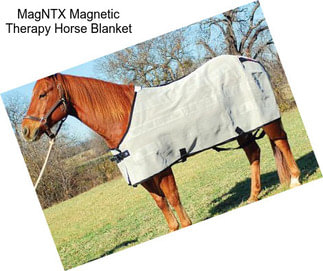 MagNTX Magnetic Therapy Horse Blanket