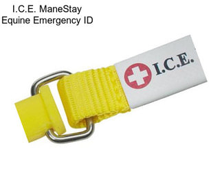 I.C.E. ManeStay Equine Emergency ID