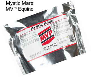 Mystic Mare MVP Equine