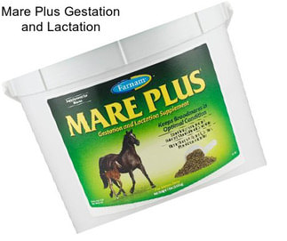 Mare Plus Gestation and Lactation