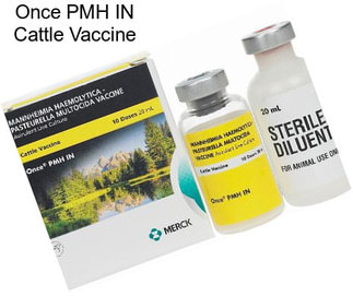 Once PMH IN Cattle Vaccine