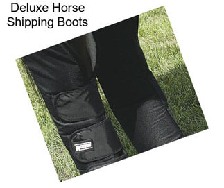 Deluxe Horse Shipping Boots