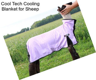 Cool Tech Cooling Blanket for Sheep