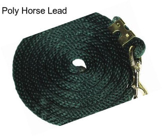 Poly Horse Lead