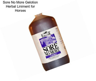 Sore No More Gelotion Herbal Liniment for Horses