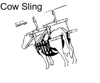 Cow Sling