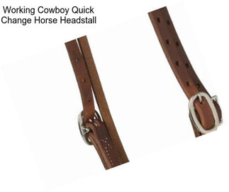 Working Cowboy Quick Change Horse Headstall