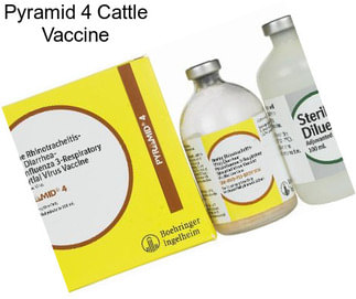 Pyramid 4 Cattle Vaccine