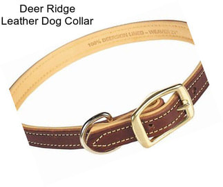 Deer Ridge Leather Dog Collar