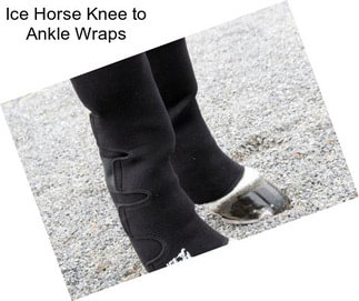 Ice Horse Knee to Ankle Wraps