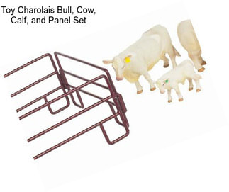 Toy Charolais Bull, Cow, Calf, and Panel Set