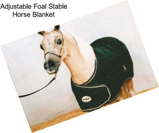 Adjustable Foal Stable Horse Blanket