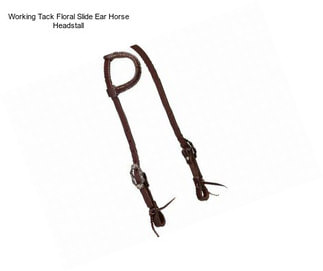 Working Tack Floral Slide Ear Horse Headstall