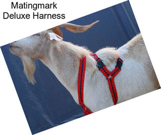 Matingmark Deluxe Harness